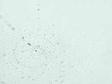 Image | CLEAR CELL - Clarifying Salicylic Tonic - Delizia Skincare