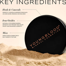 Youngblood | Natural Loose Mineral Foundation Cool Beige